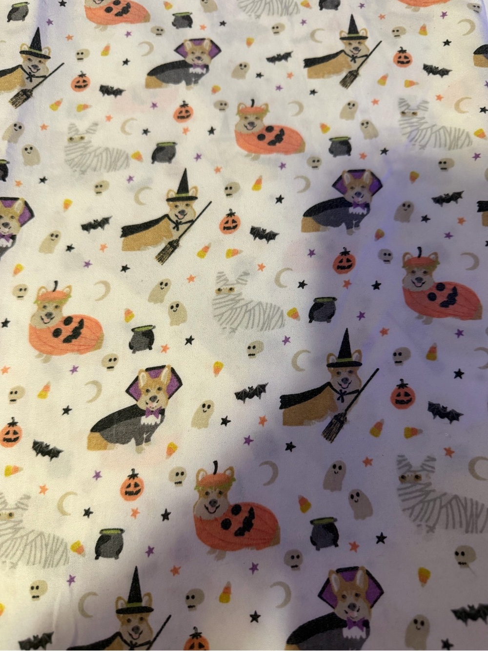 Super cute set of 2 king size Halloween corgi pillowcases from TJ Maxx